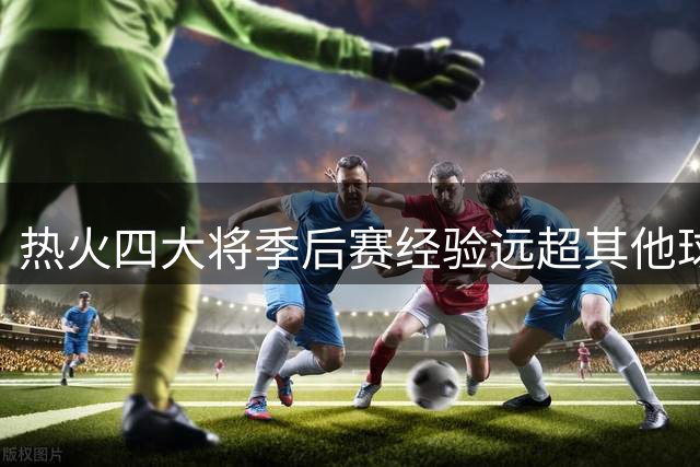 热火四大将季后赛经验远超其他球员