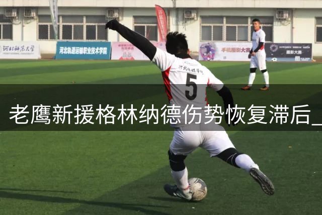 老鹰新援格林纳德伤势恢复滞后 防守协调员坦言恐错过赛季揭幕战